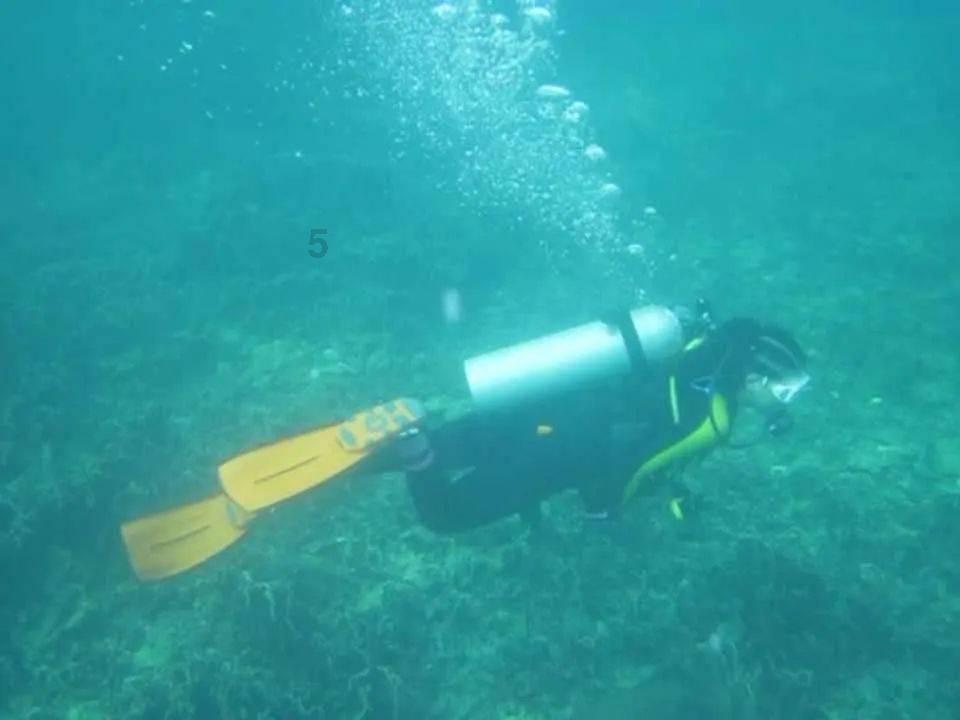 脑洞小老弟无实名认证